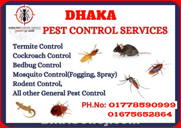 Termite Control Dhaka Bangladesh